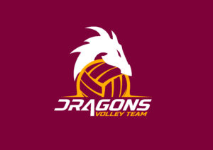 logo DRAGON VOLLEY TEAM RGB-02